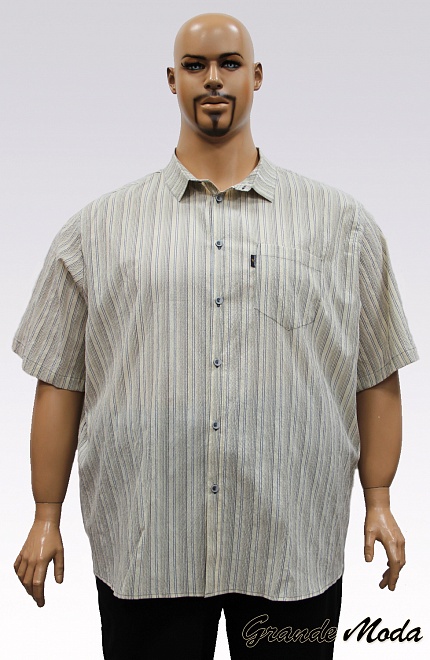 Рубашка мужская 109 Ж